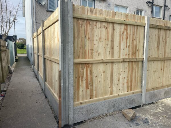 WhatsApp Image 2025 03 04 at 19.35.59